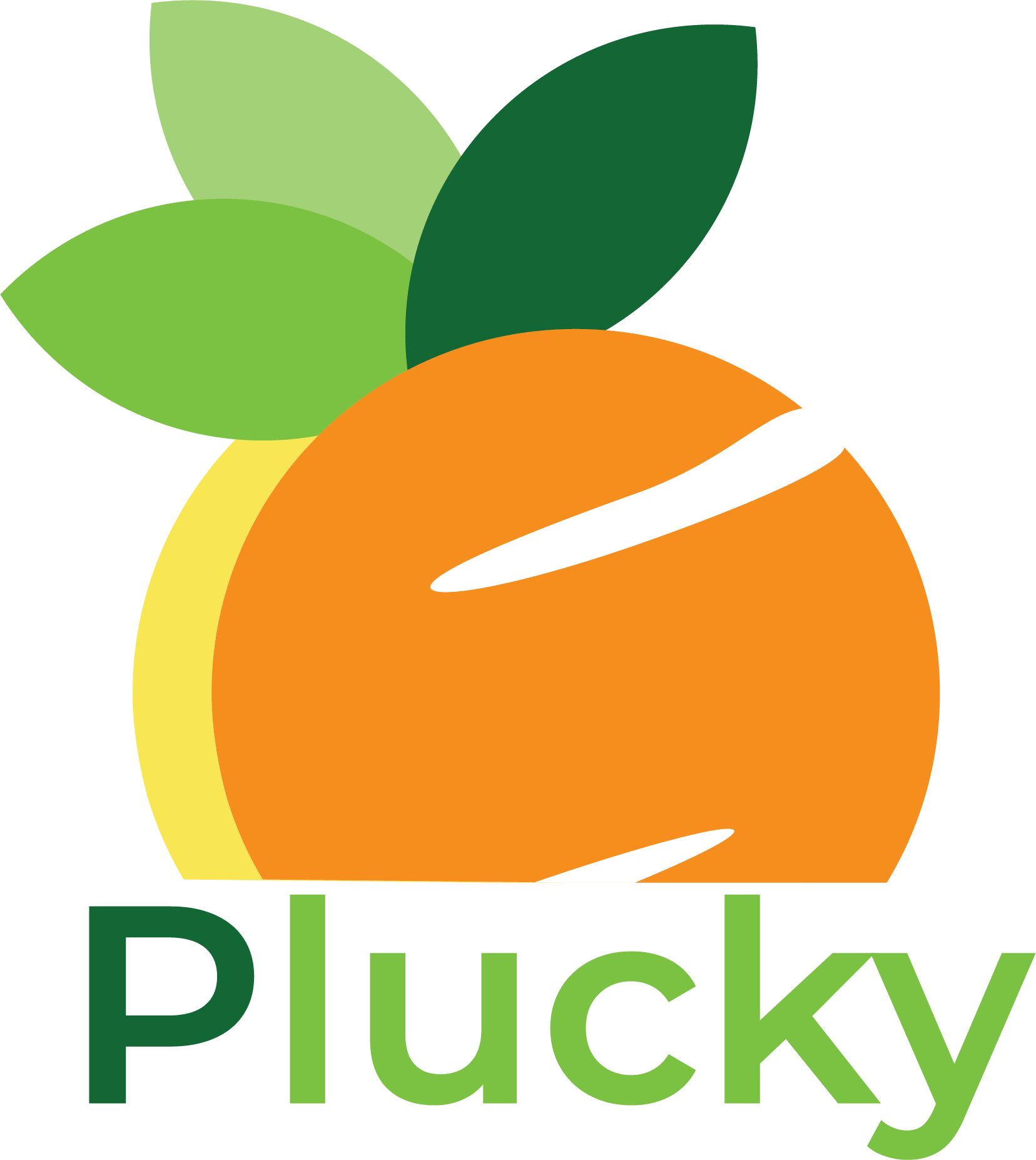Wortbildmarke von Plucky